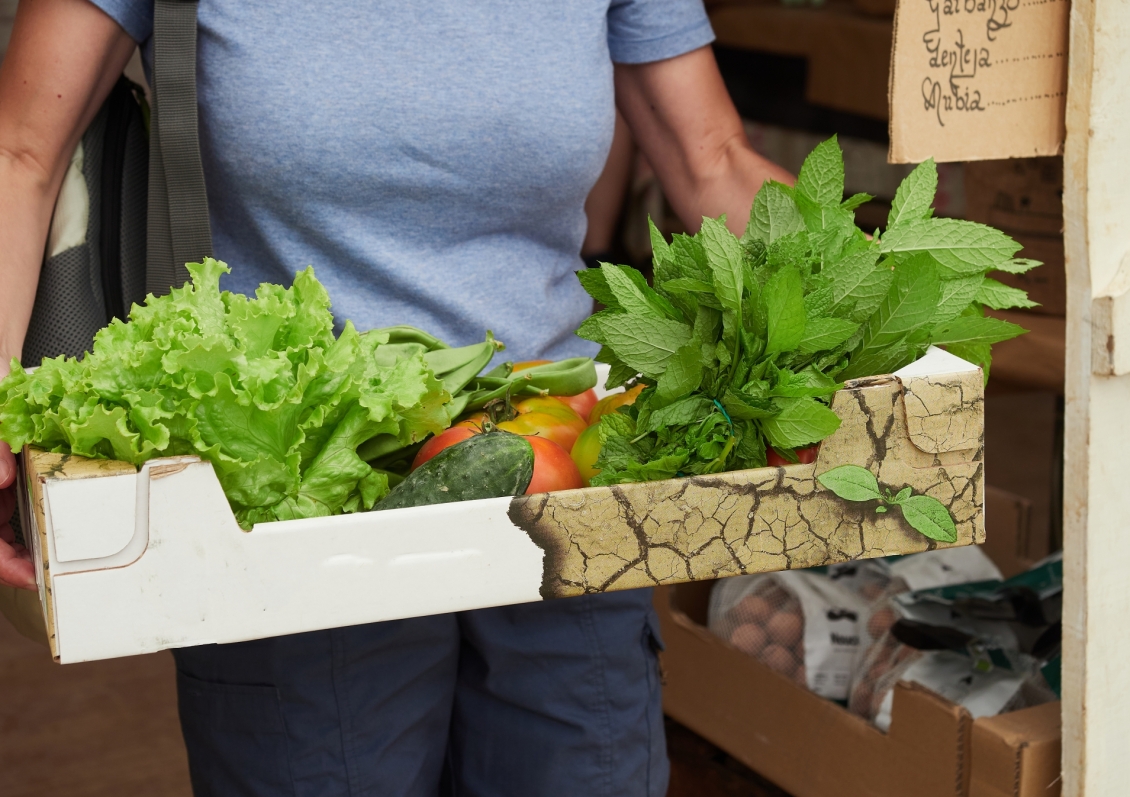 Jak prawidłowo przechowywać warzywa, aby zachować ich wartości odżywcze?